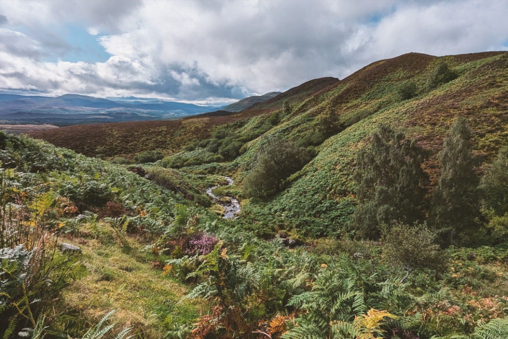 Mountains and Valleys