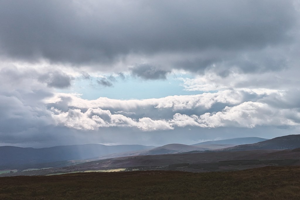 Where the light finds&nbsp;me