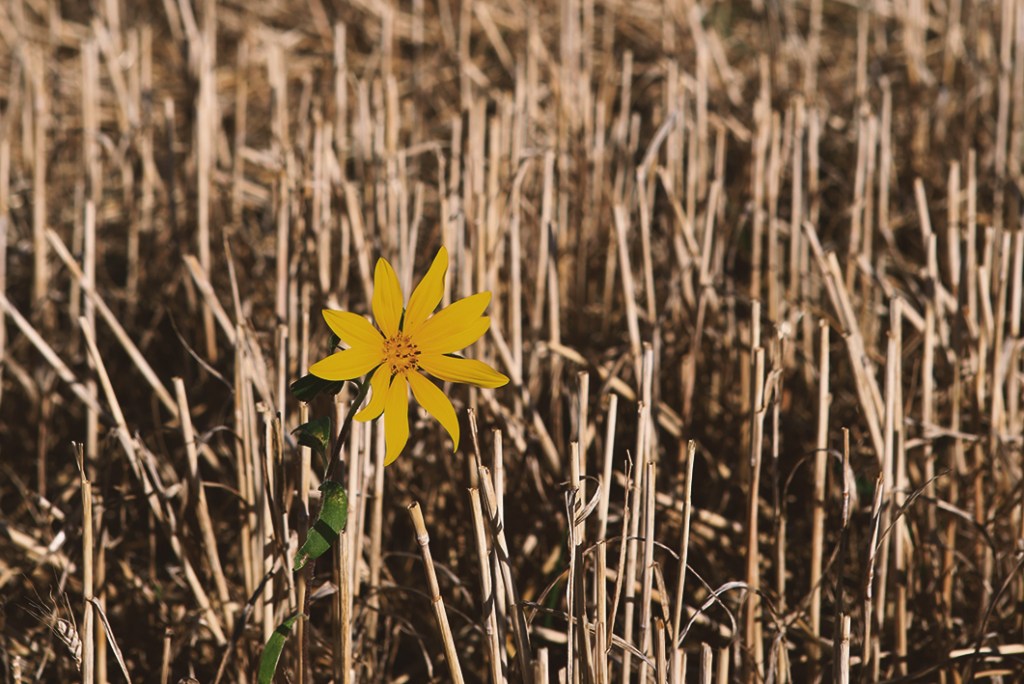 Sich selbst aushalten und andere&nbsp;Fragen