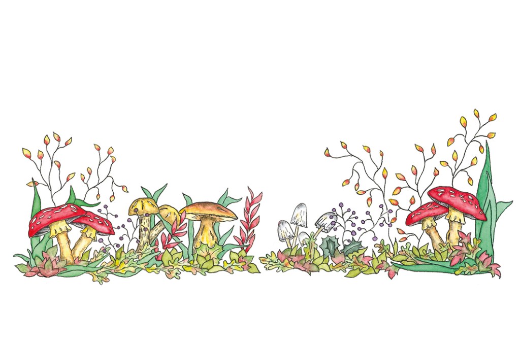 Die Sprache von IQ und&nbsp;EQ