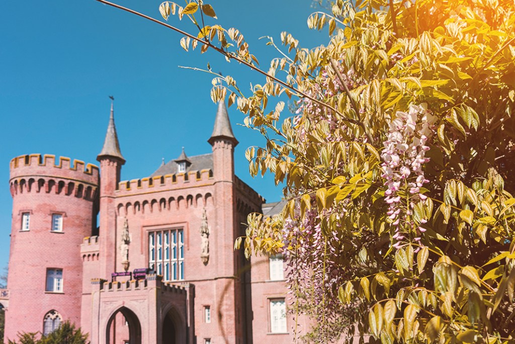 Der Weg zum&nbsp;Schlossgarten