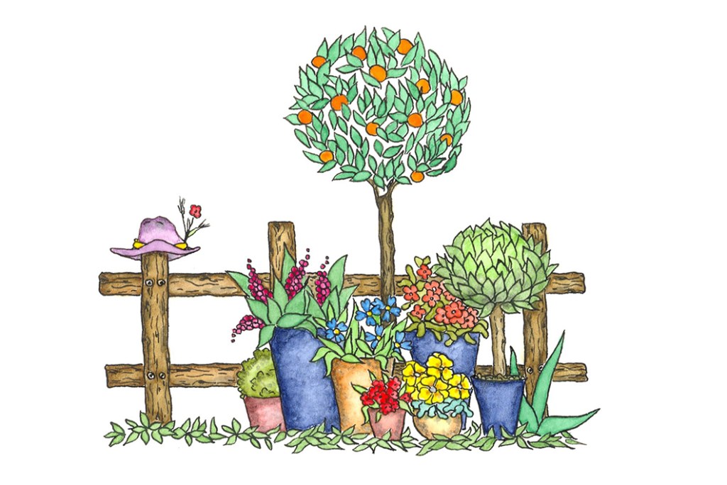 Der Hintergarten meiner&nbsp;Gedanken